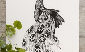 Peacock – Dagens Poster