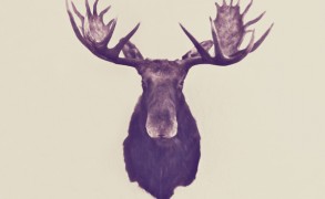 The King of Van Horn – Dagens Poster
