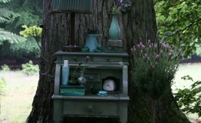 Flere sommerdrømme…