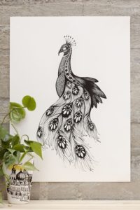 Peacock – Dagens Poster