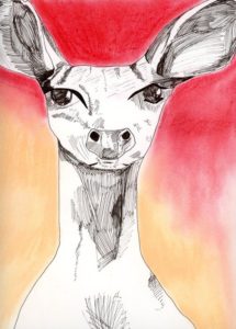 Deer – Dagens Poster