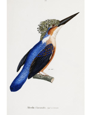 poster-malaga-plakat-print-kunst-kolibri