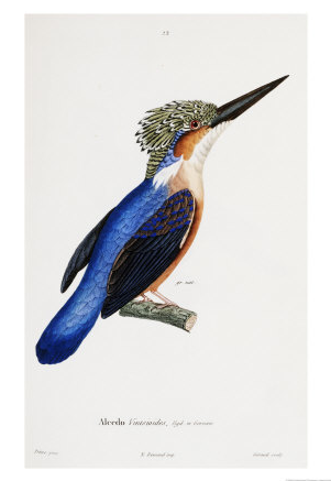 poster-malaga-plakat-print-kunst-kolibri