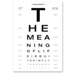 Can you see The Meaning of life? -Dagens Poster