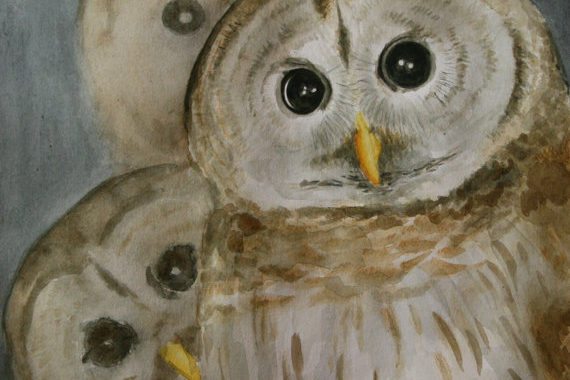 poster-print-kunst-art-owl-ugle-plakat