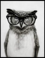 Mr. Owl – Dagens Poster
