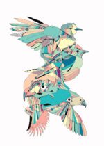 The Spiro Birds – Dagens Poster