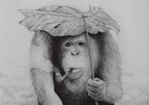 Orangutan smoking pipe – Dagens Poster