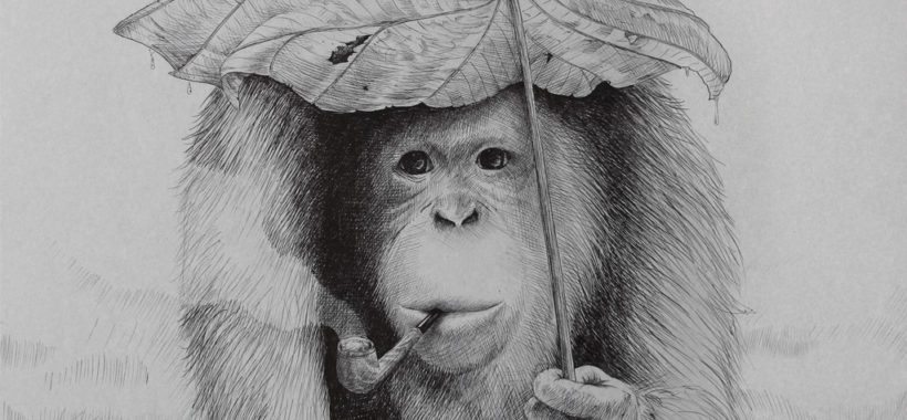 orangutan_morten_loefberg_lofberg_art_kunst_illustration_drawing