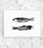 Small Fish of the Andaman Sea – Dagens Poster med rabatkode!!!