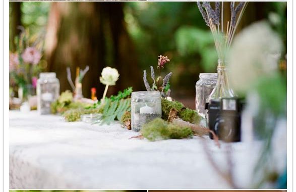 redwood-forest-campout-wedding-8