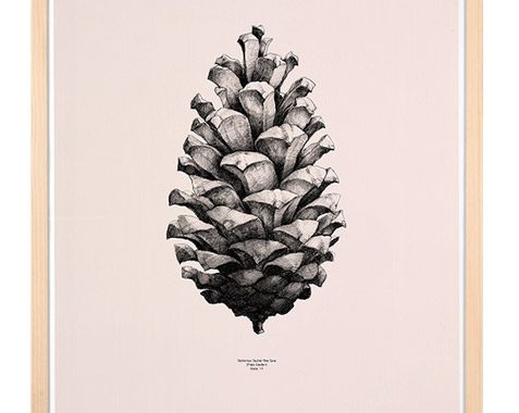 fuwl_pine-poster-g_p1
