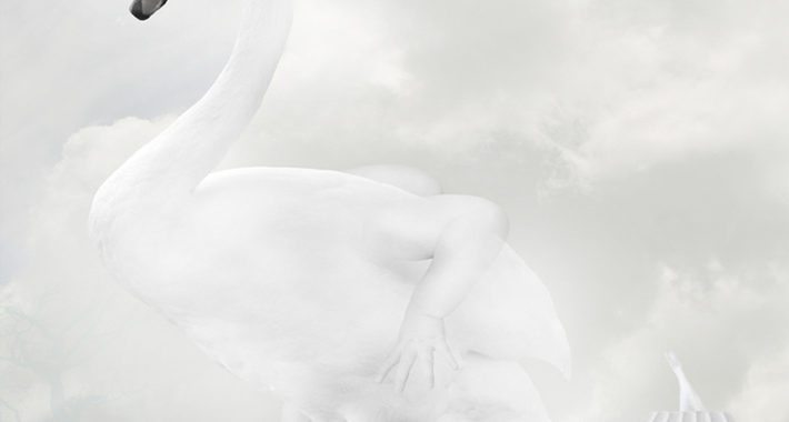 petmonkey-kunst-print-plakat-art-swan