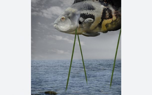 10295