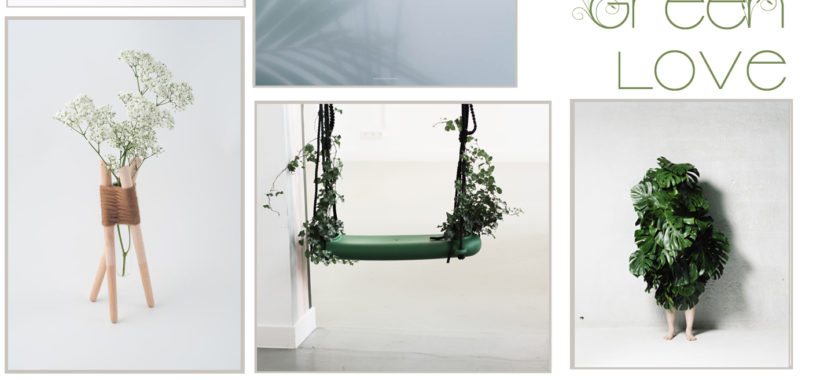 green-plants-homedecor