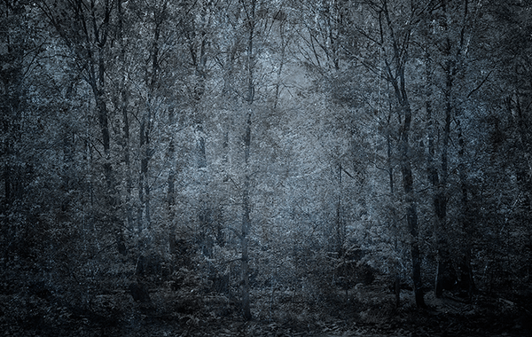13507847-origpic-575c78-png_0_0_100_100_600_420_100