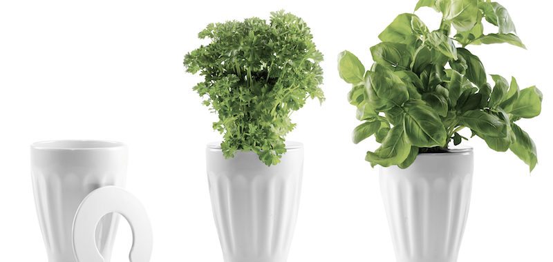 boligcious-home-decor-interior-indretning-krydderurter-urtefryd-namen-urtepotte-hvid1