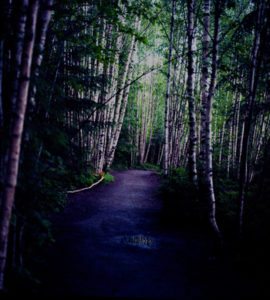 RebelPick Monday: Walks In Birch Park