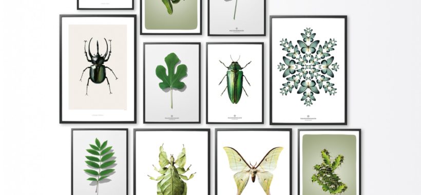 kunst-print-art-botanica-leaf-poster-plakat