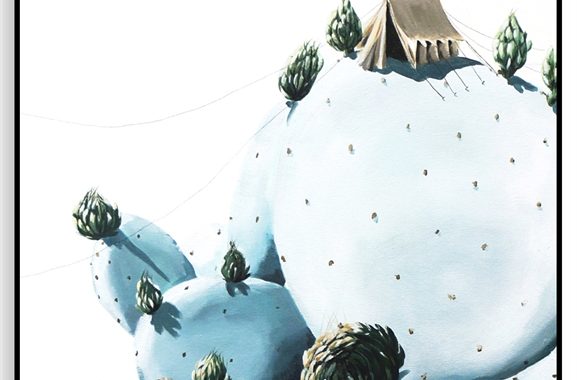 0002416_cactus_camping