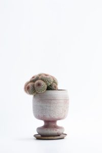 ceramic-ceramics-handcrafted-adamsilverman-studio