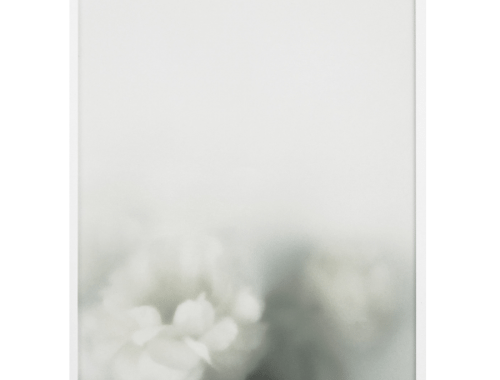 poster-a-peony-for-your-thoughts