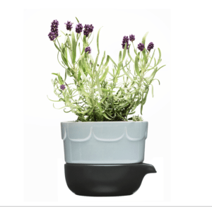 urtepotteskjulere-potteskjuler-flowerpot-underskaal-krydderurter-indretning-keramik-blomstervase