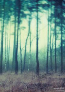 fairyland-_lowres_1024x1024