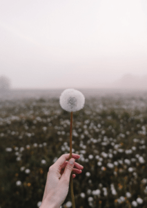 'Wishful Tinking' af Maria Fynsk Norup