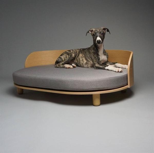 Hunde-interiør Design-hunden -